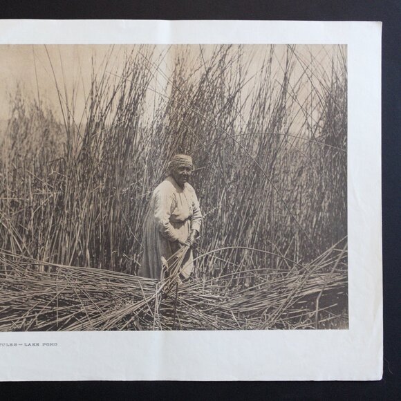 GATHERING TULES - LAKE POMO #150 Edward Sheriff Curtis Print - Picture 3 of 16